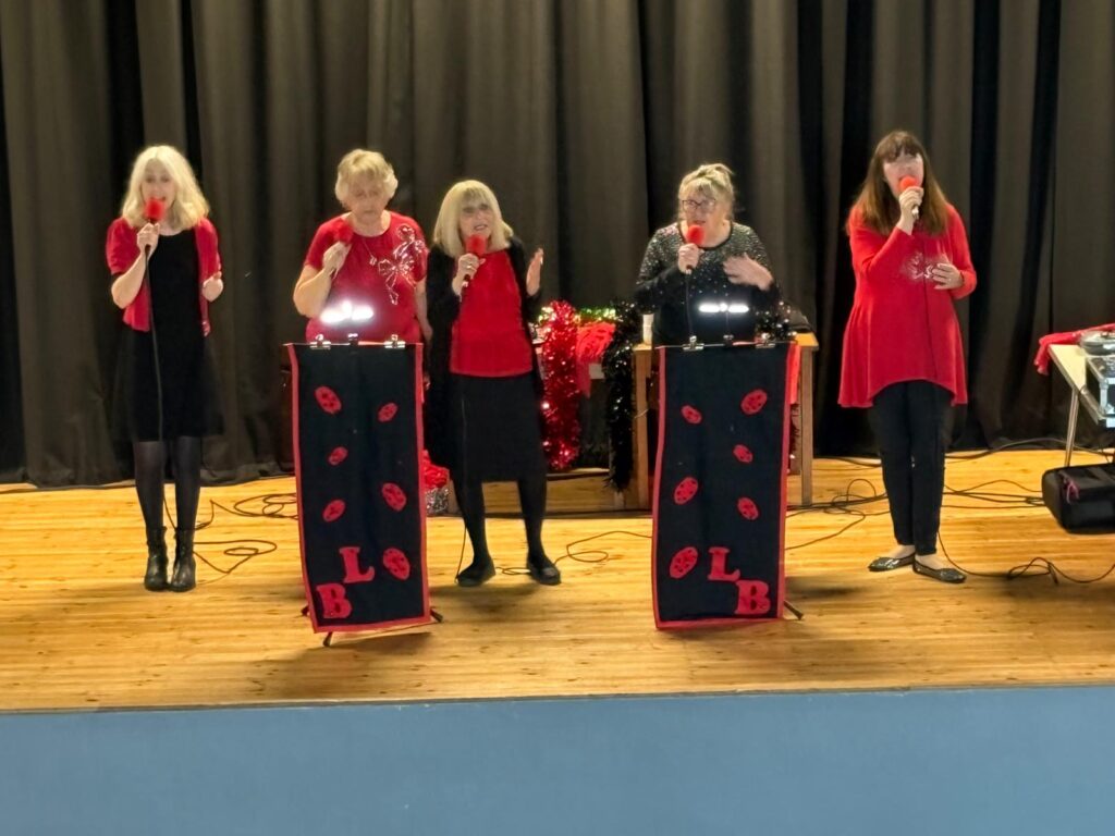 Ladybirds 28 Nov 2025 (