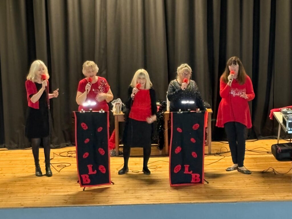Ladybirds 28 Nov 2025